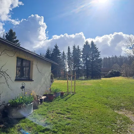Apartment Goldener Blick *